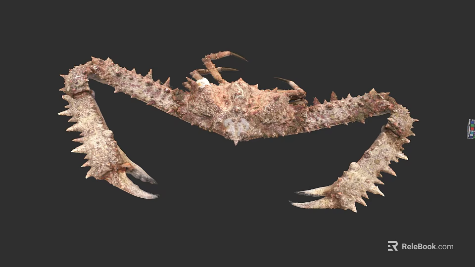 Spiky Brown Crab Aquatic Animal With Long Claws And Rough Shell 3d model 