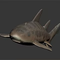 Spotted Shark 3D Rendered Model With Detailed Body Patterns And Smooth Texture 3d model