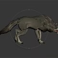Realistic 3D Wolf Model With Growling Pose And Detailed Gray Fur