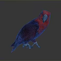Red and Blue Parrot With Vibrant Feathers Standing On Dark Reflective Background