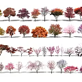 Diverse Arbor Trees Displaying Multicolored Leaves And Varied Canopy Shapes 3d model