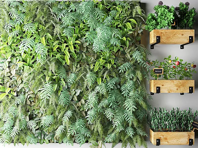 Living Green Plant Wall With Various Lush Green Plants And Wooden Planters For Interior Design 3d model