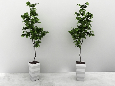 green plant model