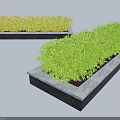 Lush Green Bushes Growing In Stone Rectangular Planters For Garden Landscaping 3d model