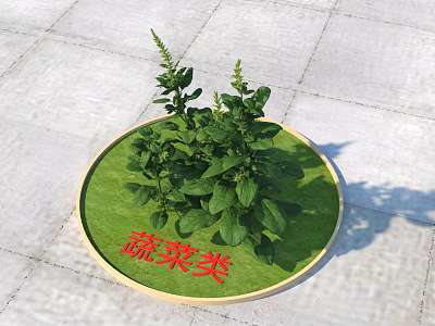 Fresh Vegetable Plants Growing On Round Green Tray With Red Label 3d model