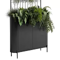 Bonsai Potted Plants Display With Lush Green Foliage In Black Cabinet And Metal Rack