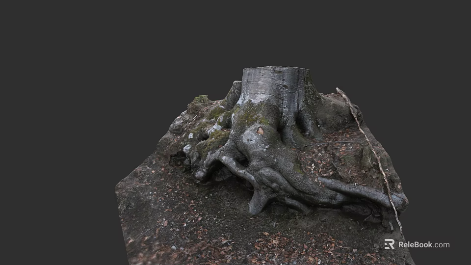 Arbor Tree Stump with Exposed Gnarled Roots and Dry Fallen Leaves 3d model