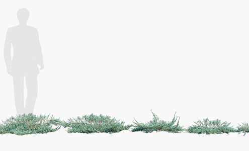 Modern Shrub Trees 3d model