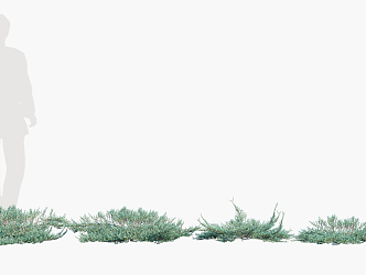 Modern Shrub Trees 3d model