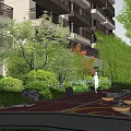 Residential Landscape Plant Combination with Lush Trees Shrubs and Greenery Along Pathway