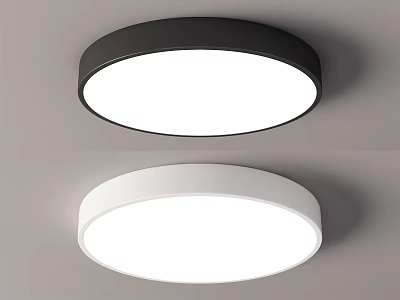 Modern Round Ceiling Lights with Black and White Frame for Bright Illumination 3d model