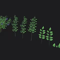 Cartoon Scene Featuring Blue Berries and Green Leaves on Black Background