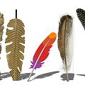 Modern Feather 3d model