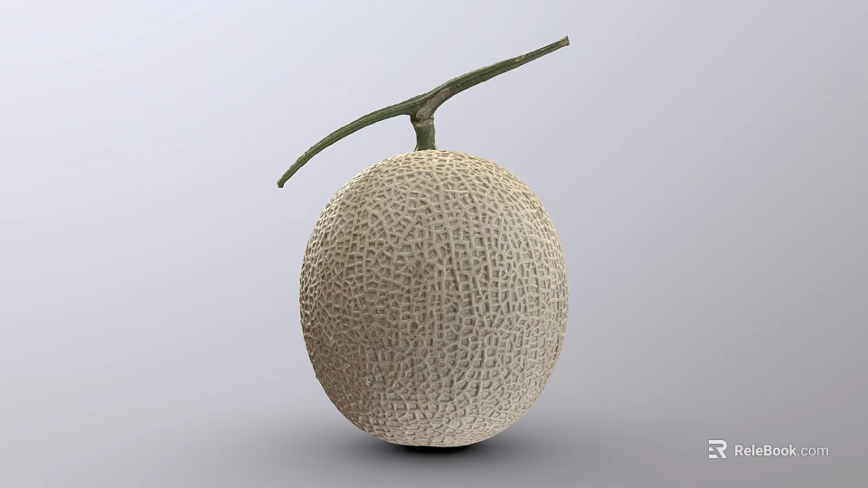 Fresh Ripe Cantaloupe with Netted Skin and Green Stem on Light Background 3d model 
