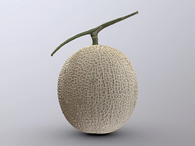 Fresh Ripe Cantaloupe with Netted Skin and Green Stem on Light Background 3d model