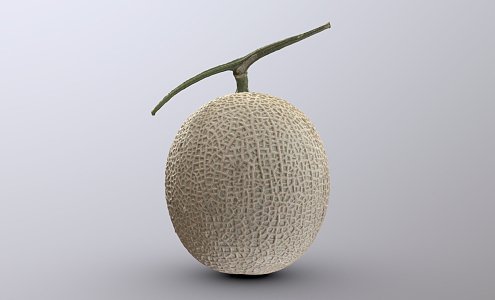 Modern Hami Melon 3d model