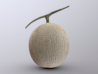 Modern Hami Melon 3d model