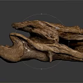 Natural Rustic Wooden Sculpture With Organic Shape And Intricate Wood Grain Details