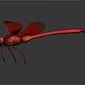 Detailed Vibrant Red Dragonfly With Spread Wings Isolated On Grey Background