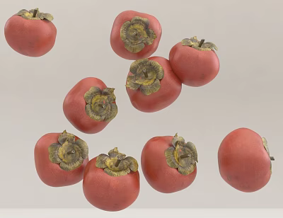tomato tomato persimmon fruit 3d model