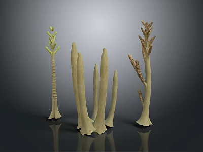 Decorative Cream White Plant Sculptures With Various Shapes On Gray Black Reflective Surface 3d model