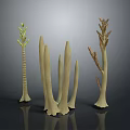 Decorative Cream White Plant Sculptures With Various Shapes On Gray Black Reflective Surface