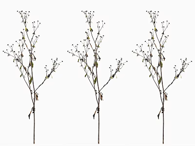 modern grass withered grass 3d model modern grass withered grass 3d model