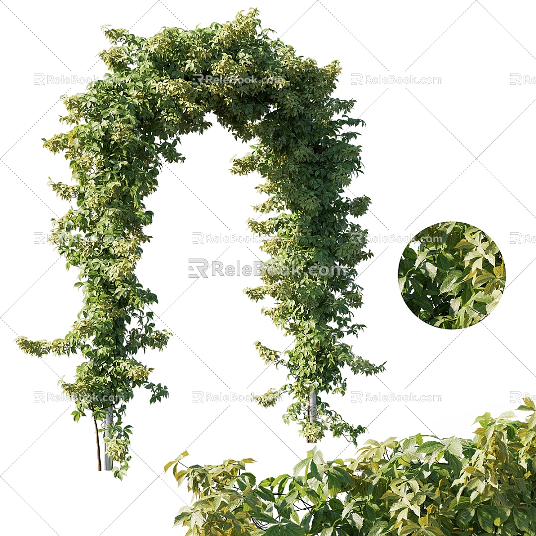 modern vine green planting vine plant 3d model