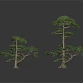 Unique Artistic Plants With Slender Trunks Curved Green Foliage Design