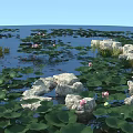 Tranquil Garden Landscape with Lotus Leaves Pink Flowers Stone Path and Water