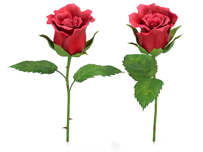 Two Vibrant Red Roses with Green Leaves and Fresh Stems on White Background 3d model