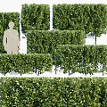 Green Shrub Hedges With Various Shapes For Outdoor Garden Landscape Design