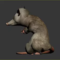 3D Rendered Cartoon Opossum Character in Standing Pose With Long Pink Tail