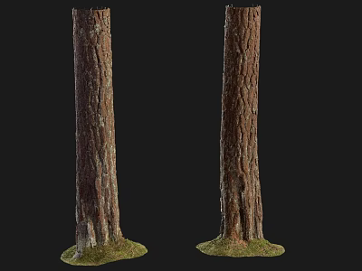 Natural Wooden Trunks With Moss At Base Against Dark Background 3d model