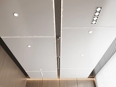 Clean Modern White Ceiling Design With Recessed Lights And Linear Accents 3d model