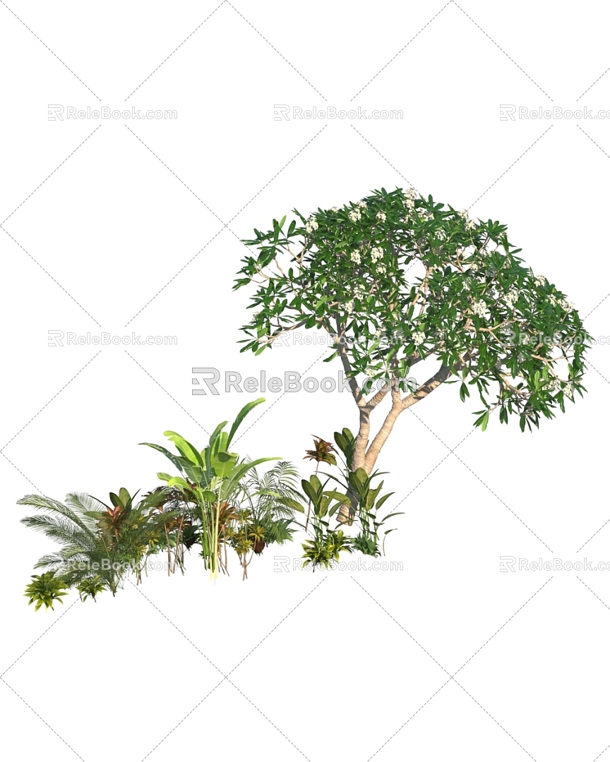 Common residential landscape bushes 3d model