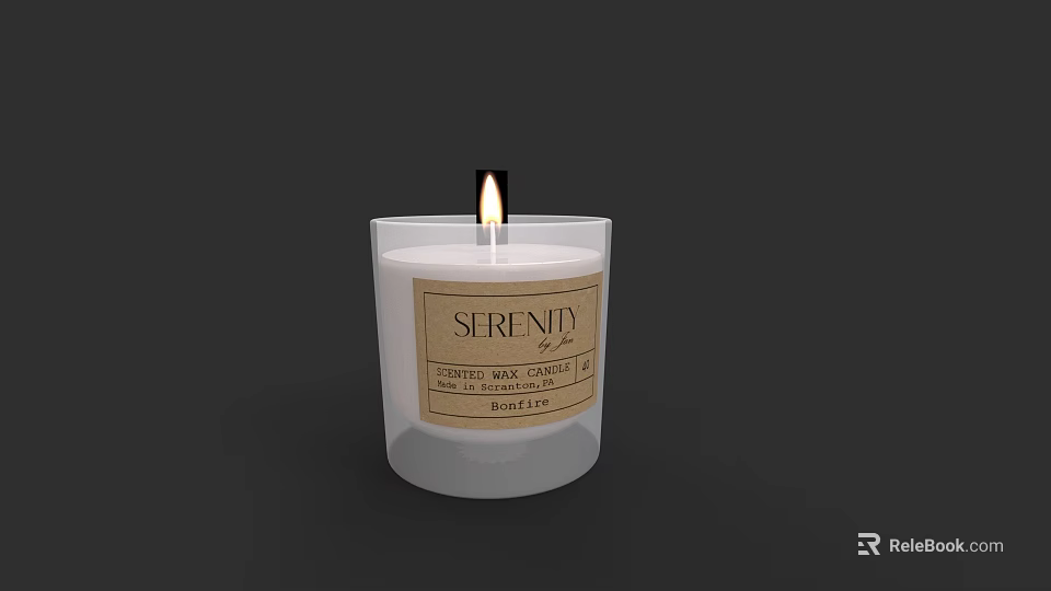 Fragrance Cosmetics Soy Wax Candle Infused with Essential Oils and Lit Wick 3d model 