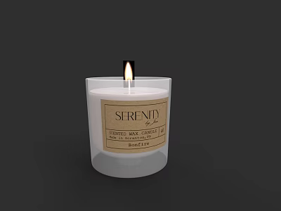 Fragrance Cosmetics Soy Wax Candle Infused with Essential Oils and Lit Wick 3d model