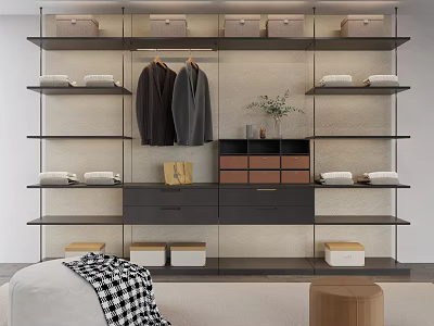 Modern Open Closet Design With Hanging Clothes Shelves Storage Boxes And Decorative Plant 3d model