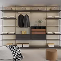 Modern Open Closet Design With Hanging Clothes Shelves Storage Boxes And Decorative Plant