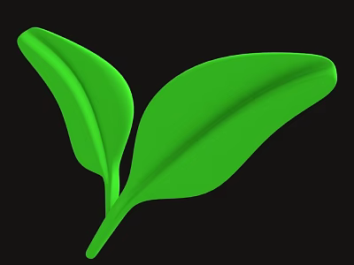 Arbor Seedling With Two Fresh Lush Green Leaves On Black Background 3d model