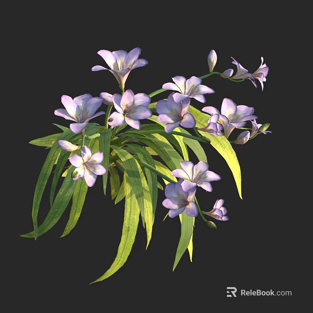 Purple Flowers with Green Leaves Blooming Fresh Botanical Arrangement Delicate Petals and Lush Foliage 3d model 