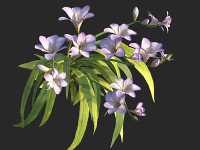 Purple Flowers with Green Leaves Blooming Fresh Botanical Arrangement Delicate Petals and Lush Foliage 3d model
