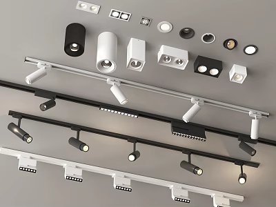 Modern Ceiling Track Downlights and Spotlights in Black White Various Styles 3d model