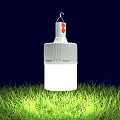 Bright White LED Bulb Hanging Over Green Grass Illuminated At Night