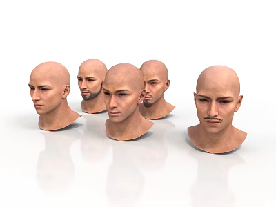 Five Male Bald Head Models With Different Angles And Realistic Facial Features 3d model