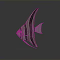 Fish Freshwater Fish Swallow Fish Egyptian Swallow Fish Sea Fish Animal Game Animal Cartoon Animal 3d model
