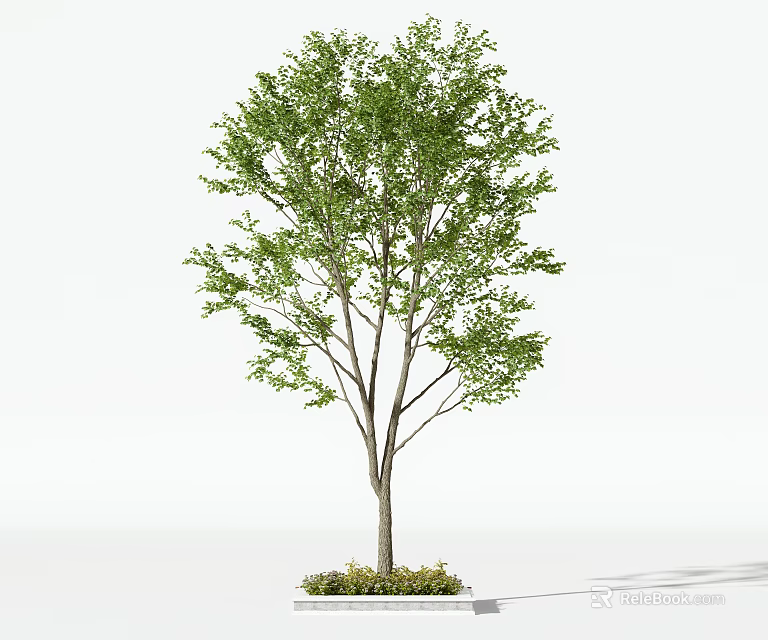 Lush Arbor Tree With Green Foliage And Sturdy Trunk In Natural Landscape 3d model 