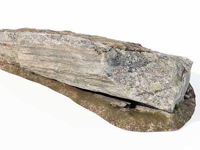 Rustic Stone Wood Slab With Natural Rough Texture And Earthy Tones 3d model