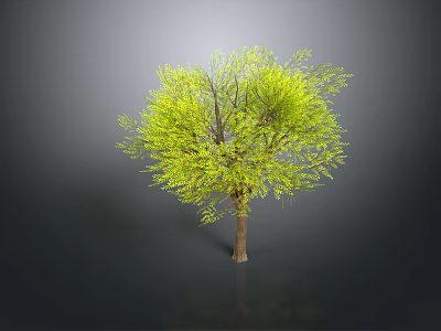 Isolated Tree With Vibrant Green Leaves And Brown Trunk In Gray Background 3d model